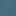 Gulf Teal