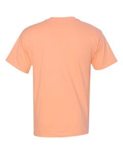 Hanes 5250 - Men's Authentic-T T-Shirt
