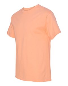 Hanes 5250 - Men's Authentic-T T-Shirt