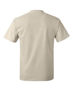 Hanes 5250 - Men's Authentic-T T-Shirt