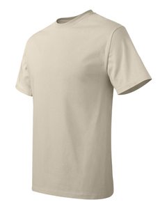 Hanes 5250 - Men's Authentic-T T-Shirt