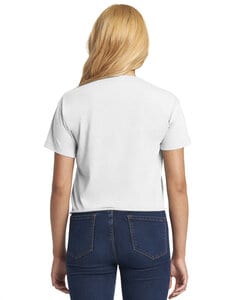 Next Level NL5080 - Festival de la mujer Cali