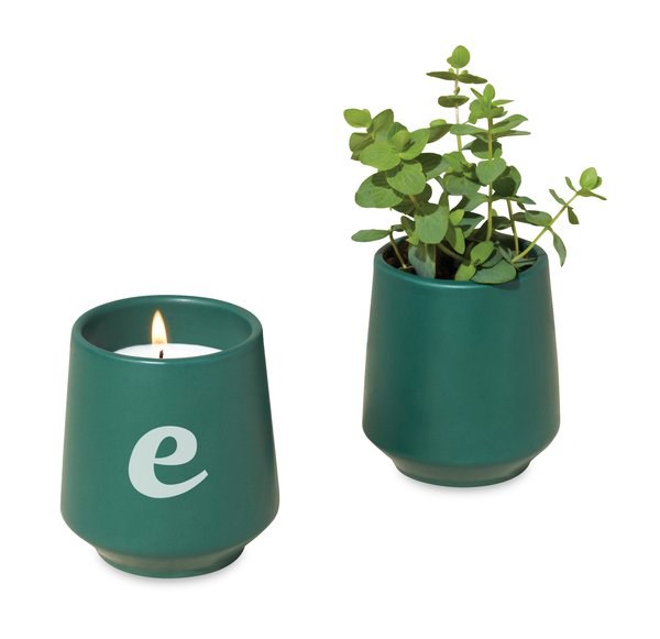 Modern Sprout 101462 - Vela Enraizada