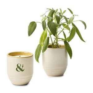 Modern Sprout 102808 - Vibras de Jardín Vela/Maceta
