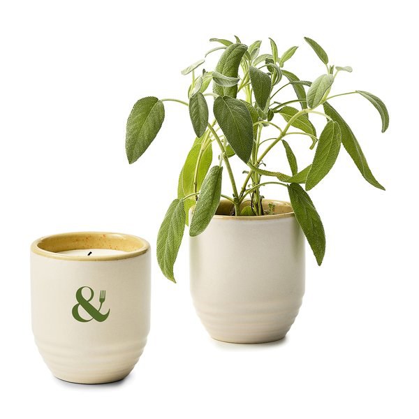 Modern Sprout 102808 - Vibras de Jardín Vela/Maceta