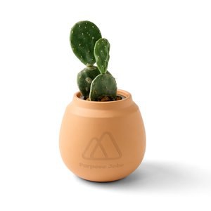 Modern Sprout 103088 - Kit de Cultivo de Cactus de Terracota Moderno