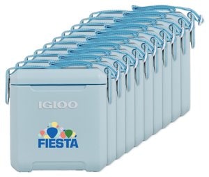 Pack of 10 Igloo 102070 - Tag Along Too Cooler