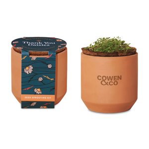 Modern Sprout 100899 - Mini kit de cultivo de terracota de margaritas de agradecimiento