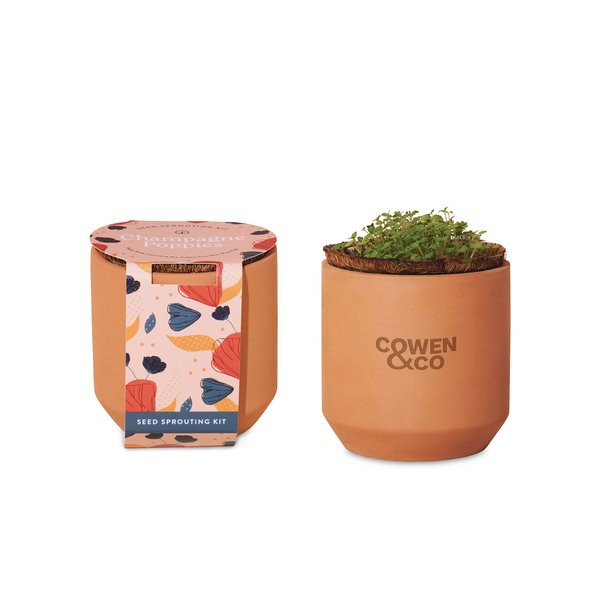 Modern Sprout 100900 - Mini kit de cultivo de terracota: amapolas color champán