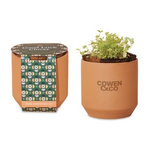 Modern Sprout 100901 - Tiny Terracotta Grow Kit Good Luck Clover